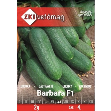 Vetőmag ZKI 4 Uborka - Barbara F1 2gr