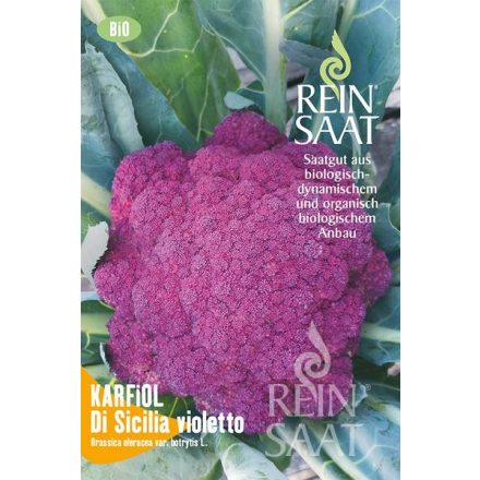 Vetőmag REIN SAAT Karfiol - Di Sicilia Violetto Bio Dinamikus cca. 50 db