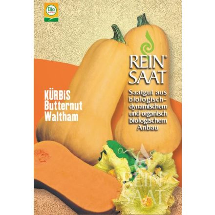 Vetőmag REIN SAAT Sütőtök - Butternut Waltham Bio Dinamikus cca. 8 db